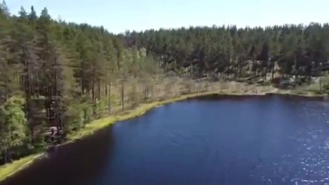 Кривко