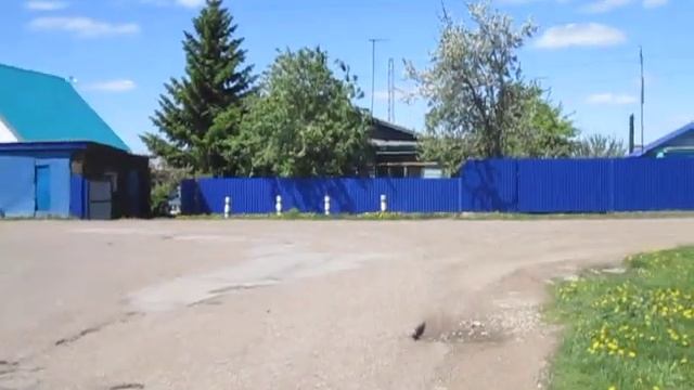 Поселок Приютово.Башкортостан.Старая часть.Улица Чапаева.