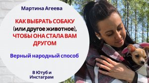 Проверенный народный способ выбора животных