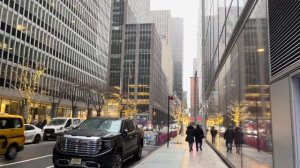 Light Snow Walk 4k - Walking New York 2024 Usa Virtual Travel Video