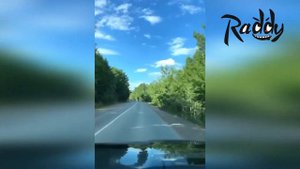 Команда Raddy отдыхают на даче у Шиловых