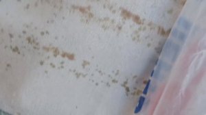 Зимовка пчёл в ульях ППС на улице 2016. Урал