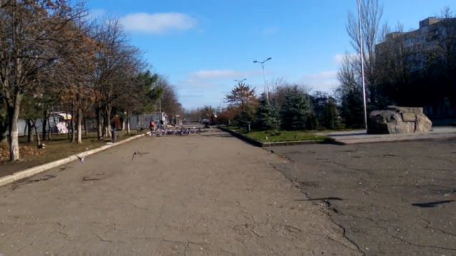 Стая голубей 🕊🕊🕊