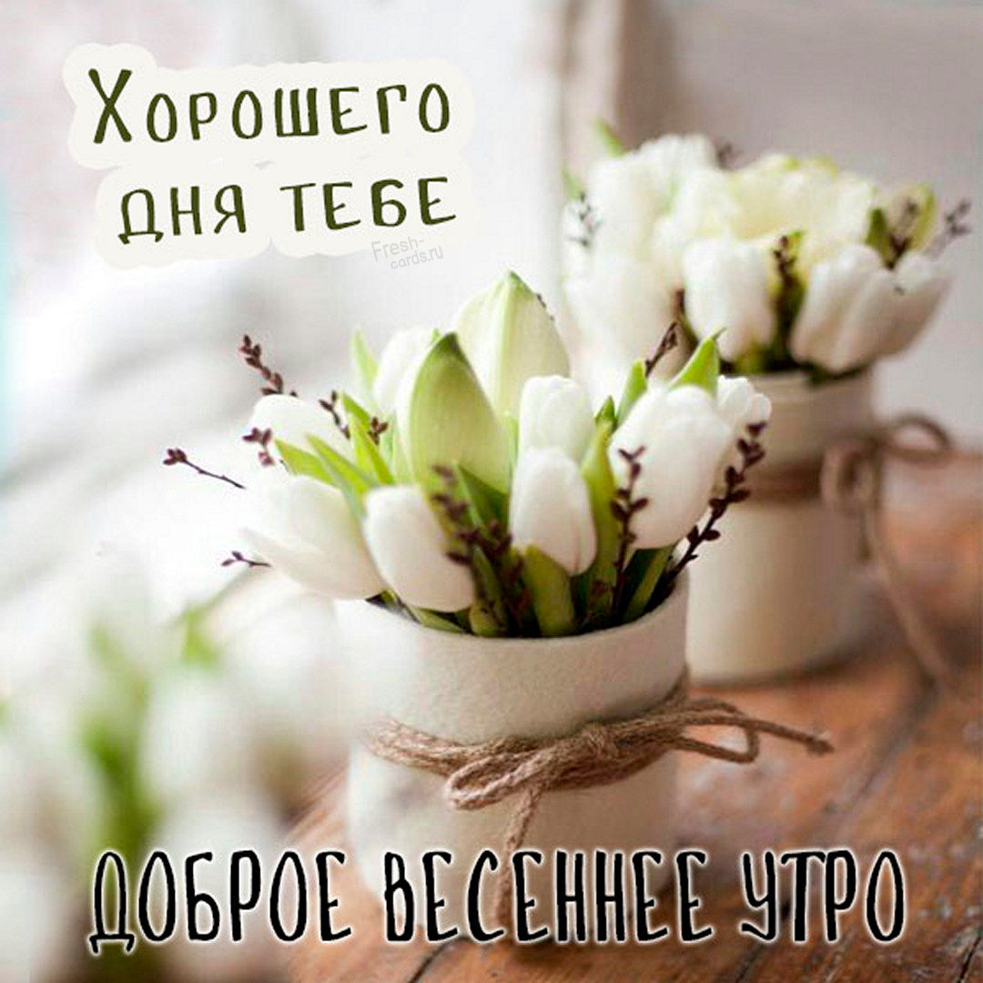 С добрым утром! Пусть оно принесет тебе радость, откроет новый день☕
