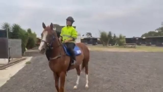 Starcraft/Harada Miss - Feb 2022 смотреть онлайн