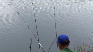 Рыбалка на реке "Сухой донец"