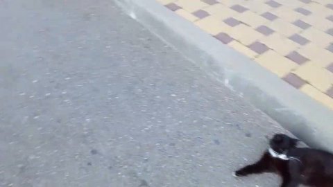 Пациенты в больнице моряков.Новороссийск.07.19