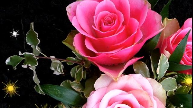 ФУТАЖИ --КРАСИВЫЕ РОЗЫ--ДЛЯ ВИДЕОМОНТАЖА смотреть онлайн