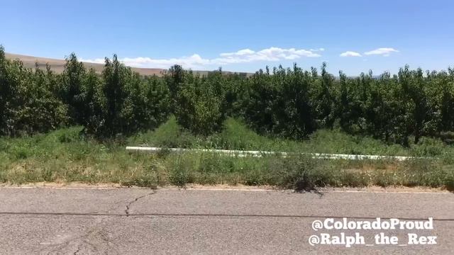 Trex on a bike! смотреть онлайн