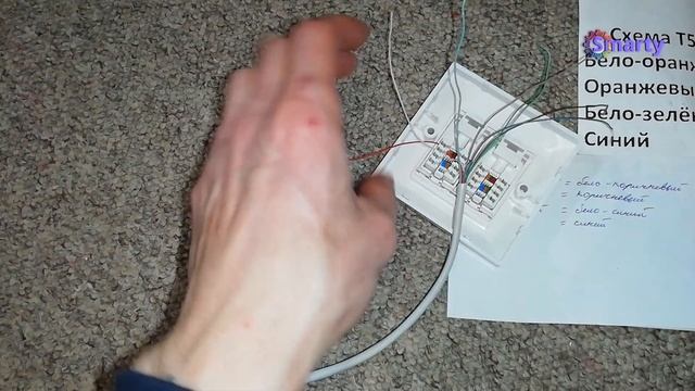 RJ45 двойная розетка с одним проводом