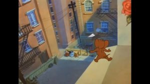 Мультфильмы для детей My - Cartoons For Kids Tom and Jerry - Episode 55
