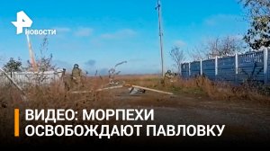 Кадры освобождения Павловки в ДНР морпехами 155-й бригады ТОФ / РЕН Новости