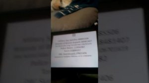 Free gear codes for roblox gear hat testing place