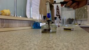 Общие свойства углеводов. Реактив Фелинга, Фруктоза, Сахароза, Крахмал.