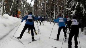 Finlandia Hiihto 2011