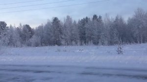 Тест -драйв новой помощницы , электролопаты