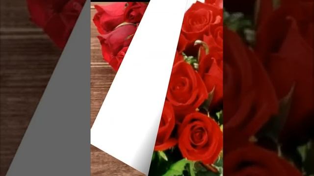 Андрей Шпехт - отцвели розы смотреть онлайн