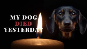 My Dog Died Yesterday | Reddit NoSleep Story