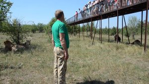 Диалог  Олега Зубкова  с посетителями  Тайгана  стоя среди львов !Крым