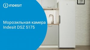 Морозильная камера Indesit DSZ 5175 - обзор модели