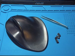 mouses_on_16-02-2024