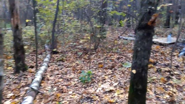 16.10.2016г. г. Балашиха. Часть 2. Мкрн. № 28 "Первомайский". SOS/СОС. Экология. Среда обитания. смотреть онлайн