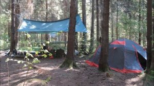 Поход учащихся 6-х классов на р. Рокша.