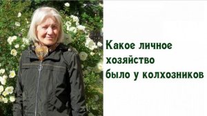 Какое личное хозяйство было у колхозников
