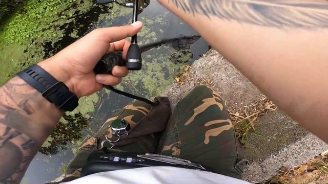 #Street #fishing. Риболов на #кефал и #костур в #Англия. смотреть онлайн