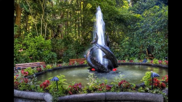 Водопады и фонтаны в садах смотреть онлайн