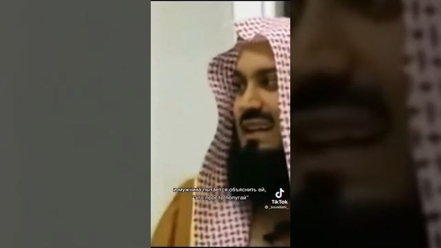 Анекдот про попугая и женщину . смотреть онлайн