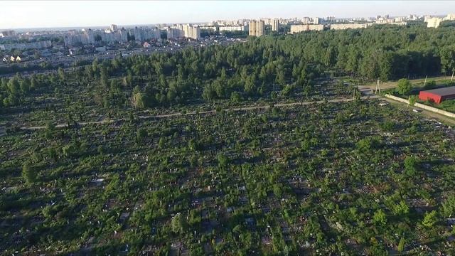 Центральное (Советское) кладбище г.Брянска. Благодел.