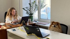 Студия 3D Визуализации ArtFasad3D. Дизайн фасада для вашего дома