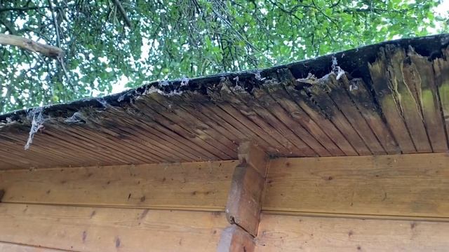 A Typical RICS Level 3 Building Survey (Now known as Level 3 Home Survey) смотреть онлайн