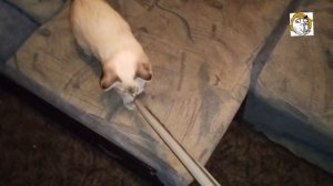 Учимся драться МЕЧОМ