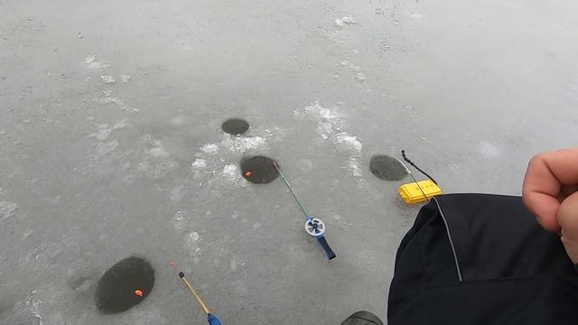 ХОТЕЛ плотвы, а НАЛОВИЛ карася! Ловля со льда, на поплавок  Рыбалка зимой