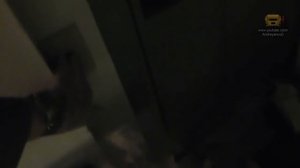 Персональный лифт ДЛЯ КОТА?