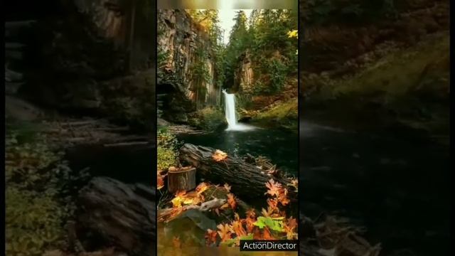 Здравствуй Осень! Прекрасное пожелание#Короткие видео от Кати смотреть онлайн