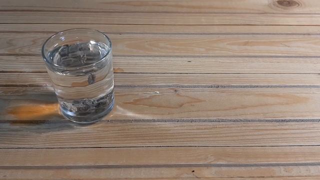 I try to grow Heliconia from seed - Lobster Claw Plant смотреть онлайн