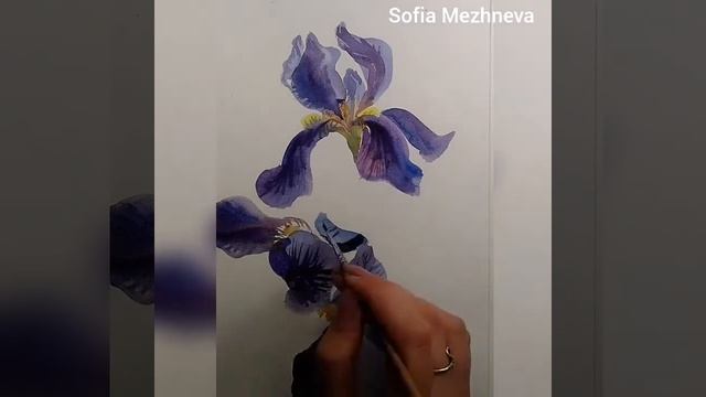 Рисование цветов акварелью! Ирисы смотреть онлайн