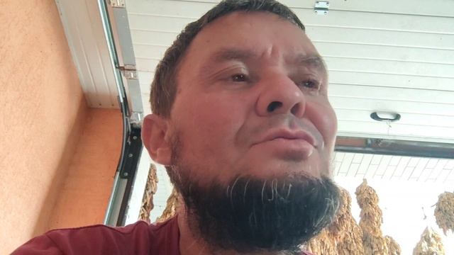 Спектр Спектр Т2С Спектр ТМ. Дегустация