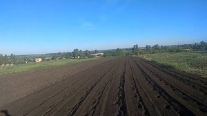 Мотоблочная обработка фрезой междурядья картофеля.(Часть. 1)