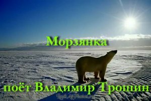 Морзянка