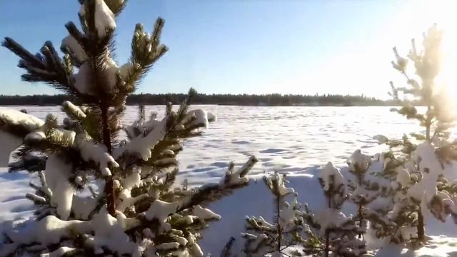 Новогодние легенды / ТОП / Сергей Бумагин