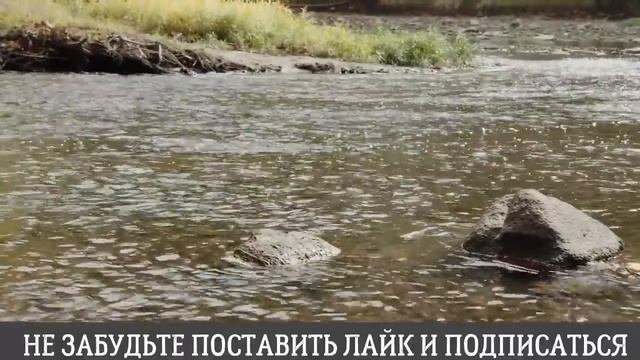 Как оказалось давала всегда...Интересные истории из жизни. Аудиорассказ смотреть онлайн