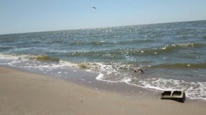 Море, Солнце, Волны, Пляж, Песок и Природа.