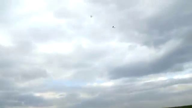 Полетушки. Цессна
