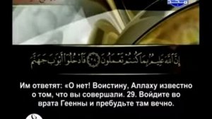 Сура пчелы 1