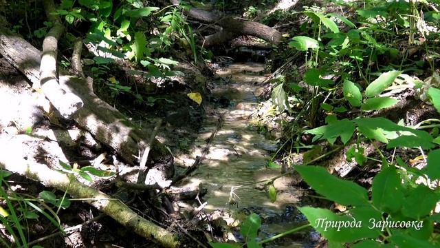 Как уснуть за 15 минут. Разслабляющяя музыка и звуки природы. Релакс перед сном. Медитация. смотреть онлайн