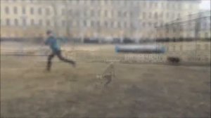 Учебное видео по аджилити. Поворот спиной.